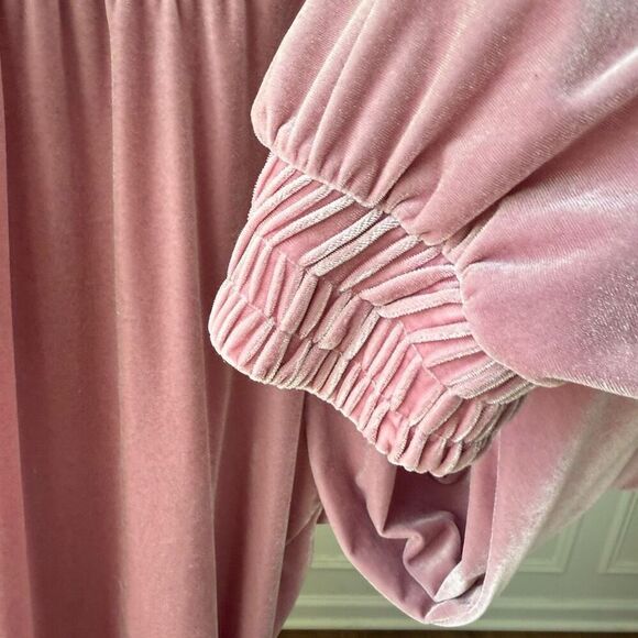 Laina Rauna Luxe Loungewear Velvet Velour Pink Jogger Pants XL - Picture 4 of 6